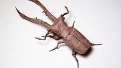 Japan insects origami