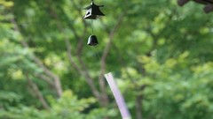 Japan japan views furin