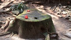 Japan japan views The Legend Of Zelda: Minish Cap