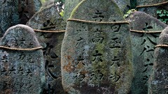 Japan Kyoto travel shrine