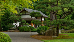 Japan Landscapes Garden