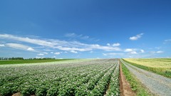 Japan Landscapes Hokkaido