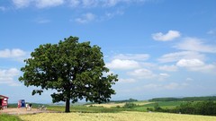 Japan Landscapes Hokkaido