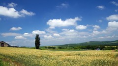 Japan Landscapes Hokkaido