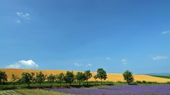 Japan Landscapes Hokkaido