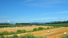 Japan Landscapes Hokkaido