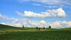 Japan Landscapes Hokkaido