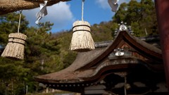 Japan Landscapes nature