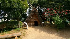 Japan Landscapes nature ancient