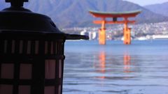 Japan lanterns torii blurred