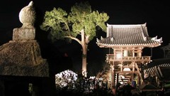 Japan Monastery night view