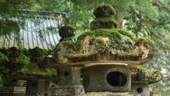 Japan moss asian architecture