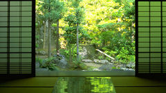 Japan nature indoors Zen