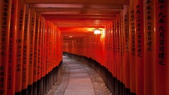 Japan path kanji torii Fushimi Inari Shrine torii gate
