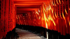 Japan path sunlight torii Fushimi Inari Shrine