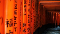 Japan pathway Kyoto gates Japanese architecture torii Fushimi 
