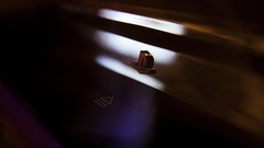 Japan Photographers colors bokeh playstation playstation 3 