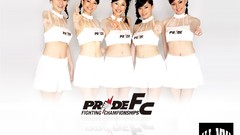 Japan Pride mma championship