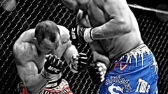 Japan Pride mma Silva