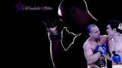Japan Pride mma Silva