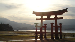 Japan shrine sunlight torii