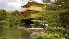 Japan temple The Kyoto golden march kinkaku