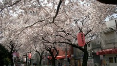 Japan Tokyo cityscapes