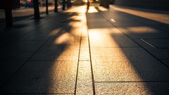 Japan Tokyo pavement bokeh sunlight streets cityscapes