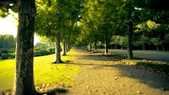 Japan Tokyo shinjuku