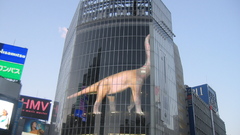 Japan Tokyo urban cityscapes Shibuya