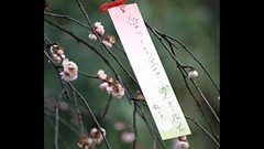 Japan toys (children) japan views Japanese traditions
