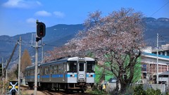 Japan trains