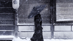 Japan winter snow Umbrellas