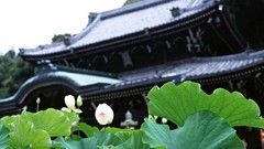 Japanese architecture