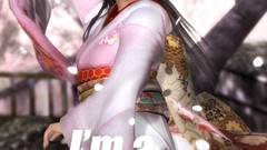 Japanese clothes kokoro Dead or Alive 5