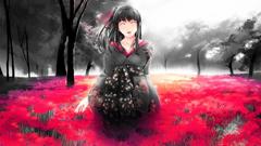 Japanese clothes spider Lilies