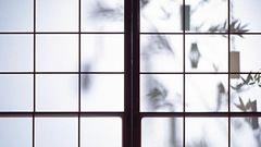 Japanese door