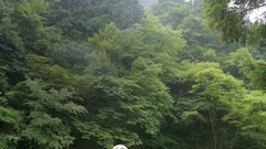 Japanese emo Chinese asians cosplay street fighter Elena 