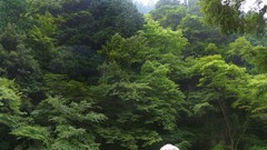 Japanese emo Chinese asians cosplay street fighter Elena 