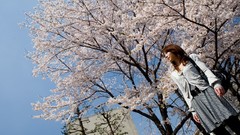 Japanese Girl and Geisha Friend