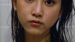 Japanese goldfish models scans