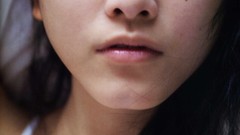 Japanese goldfish models scans