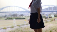 Japanese goldfish models scans