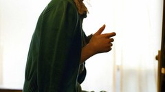 Japanese goldfish models scans