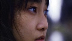 Japanese goldfish models scans