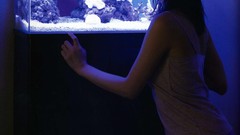 Japanese goldfish models scans