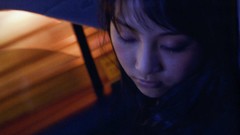 Japanese goldfish models scans