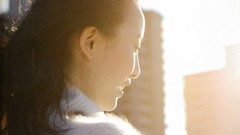 Japanese goldfish models scans