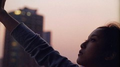 Japanese goldfish models scans