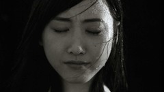 Japanese goldfish models scans